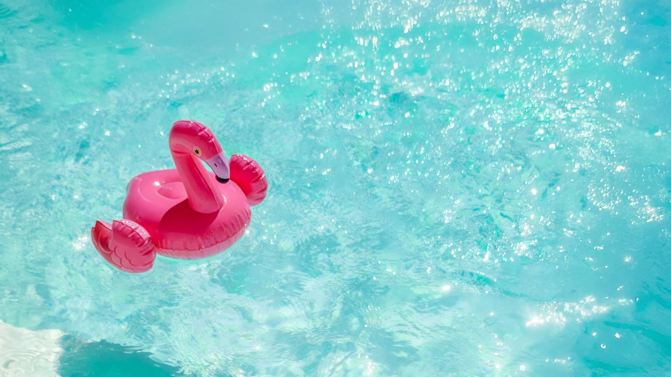 flamand rose de provence