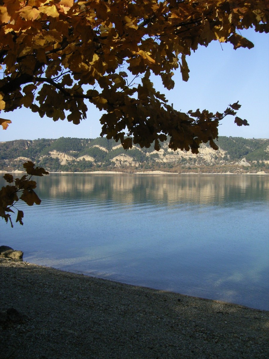 Pourquoi choisir un camping familial en Provence pour des vacances au frais ?